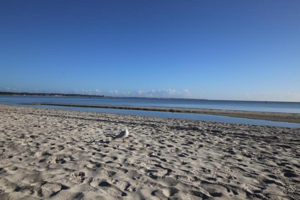 Ferienwohnung Seesternchen 3 Scharbeutz Eksteriør bilde
